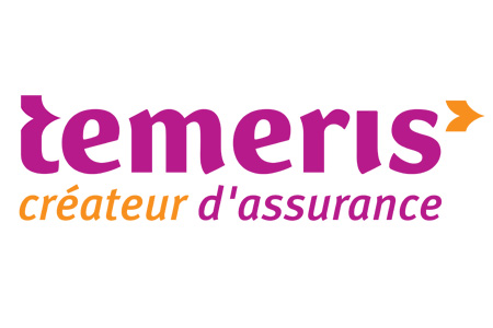 Identité visuelle TEMERIS